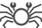 filter option of IS a pillbox crab