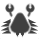 filter option of Two posterior spines